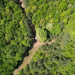 Photo #19 of Off of NC 109, Wadesboro, NC 10.0 acres