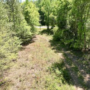 Photo #21 of Off of NC 109, Wadesboro, NC 10.0 acres