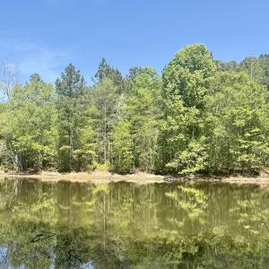 Photo #23 of Off of NC 109, Wadesboro, NC 10.0 acres