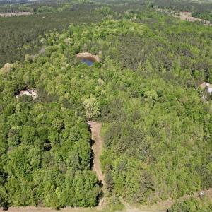 Photo #3 of Off of NC 109, Wadesboro, NC 10.0 acres