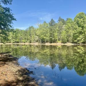 Photo #31 of Off of NC 109, Wadesboro, NC 10.0 acres