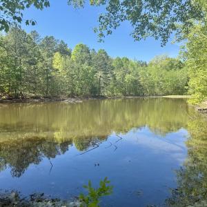 Photo #32 of Off of NC 109, Wadesboro, NC 10.0 acres