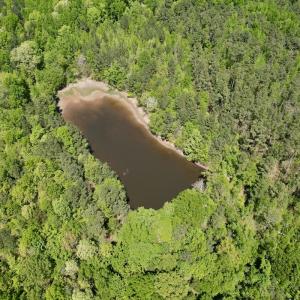 Photo #5 of Off of NC 109, Wadesboro, NC 10.0 acres