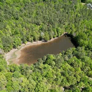 Photo #6 of Off of NC 109, Wadesboro, NC 10.0 acres