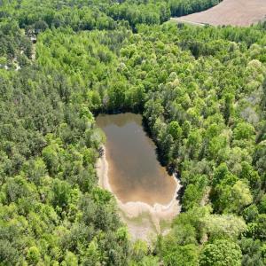 Photo #7 of Off of NC 109, Wadesboro, NC 10.0 acres