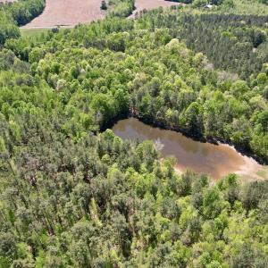 Photo #8 of Off of NC 109, Wadesboro, NC 10.0 acres