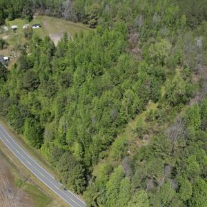 Photo #13 of 4758 Princess Ann Rd, Chadbourn, NC 7.0 acres