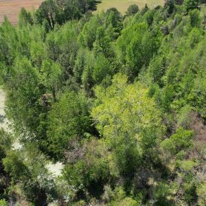 Photo #14 of 4758 Princess Ann Rd, Chadbourn, NC 7.0 acres