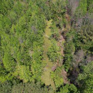 Photo #15 of 4758 Princess Ann Rd, Chadbourn, NC 7.0 acres