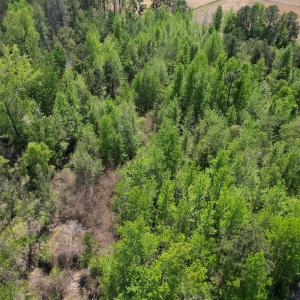 Photo #16 of 4758 Princess Ann Rd, Chadbourn, NC 7.0 acres