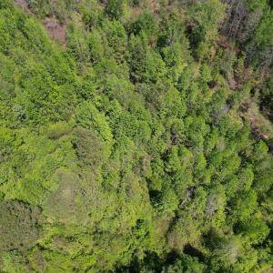 Photo #17 of 4758 Princess Ann Rd, Chadbourn, NC 7.0 acres