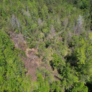 Photo #18 of 4758 Princess Ann Rd, Chadbourn, NC 7.0 acres