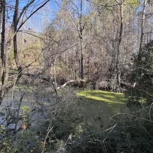 Photo #23 of 4758 Princess Ann Rd, Chadbourn, NC 7.0 acres