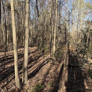 Photo #24 of 4758 Princess Ann Rd, Chadbourn, NC 7.0 acres