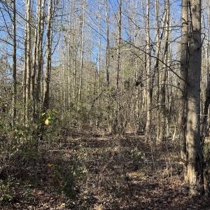 Photo #26 of 4758 Princess Ann Rd, Chadbourn, NC 7.0 acres
