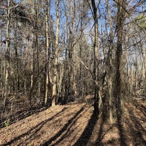 Photo #33 of 4758 Princess Ann Rd, Chadbourn, NC 7.0 acres