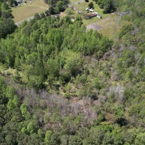 Photo #4 of 4758 Princess Ann Rd, Chadbourn, NC 7.0 acres