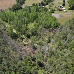 Photo #5 of 4758 Princess Ann Rd, Chadbourn, NC 7.0 acres