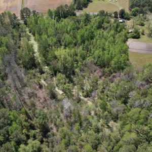 Photo #6 of 4758 Princess Ann Rd, Chadbourn, NC 7.0 acres