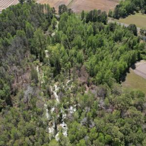 Photo #7 of 4758 Princess Ann Rd, Chadbourn, NC 7.0 acres