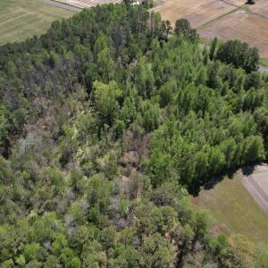Photo #8 of 4758 Princess Ann Rd, Chadbourn, NC 7.0 acres