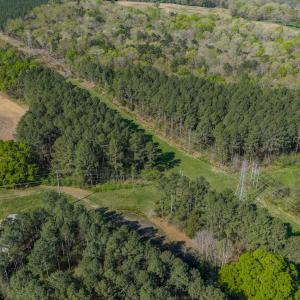 Photo #11 of 17643 Efird Road, Albemarle, NC 71.5 acres