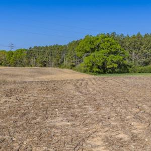 Photo #15 of 17643 Efird Road, Albemarle, NC 71.5 acres