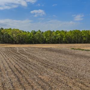 Photo #16 of 17643 Efird Road, Albemarle, NC 71.5 acres