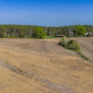 Photo #17 of 17643 Efird Road, Albemarle, NC 71.5 acres