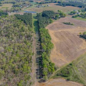 Photo #2 of 17643 Efird Road, Albemarle, NC 71.5 acres