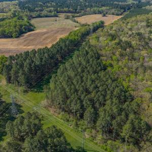 Photo #21 of 17643 Efird Road, Albemarle, NC 71.5 acres