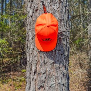 Photo #25 of 17643 Efird Road, Albemarle, NC 71.5 acres