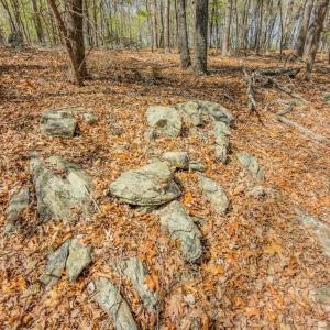 Photo #27 of 17643 Efird Road, Albemarle, NC 71.5 acres