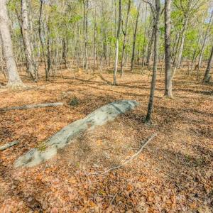 Photo #30 of 17643 Efird Road, Albemarle, NC 71.5 acres