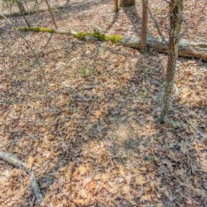 Photo #32 of 17643 Efird Road, Albemarle, NC 71.5 acres