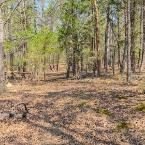 Photo #33 of 17643 Efird Road, Albemarle, NC 71.5 acres