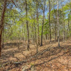 Photo #34 of 17643 Efird Road, Albemarle, NC 71.5 acres