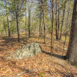 Photo #35 of 17643 Efird Road, Albemarle, NC 71.5 acres