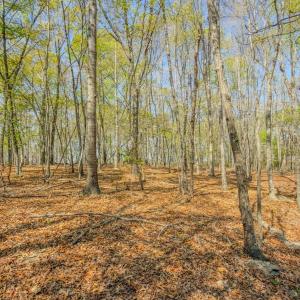 Photo #36 of 17643 Efird Road, Albemarle, NC 71.5 acres