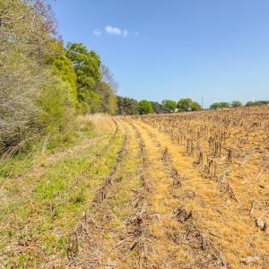 Photo #37 of 17643 Efird Road, Albemarle, NC 71.5 acres