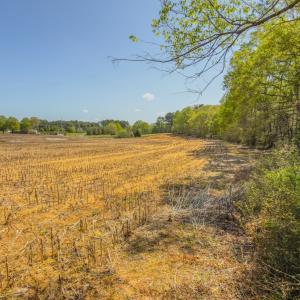 Photo #38 of 17643 Efird Road, Albemarle, NC 71.5 acres