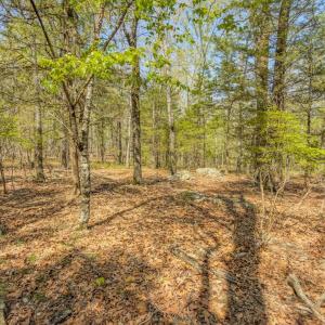 Photo #39 of 17643 Efird Road, Albemarle, NC 71.5 acres