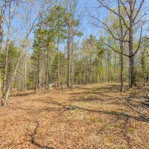 Photo #40 of 17643 Efird Road, Albemarle, NC 71.5 acres