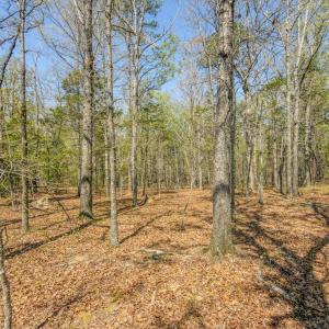 Photo #41 of 17643 Efird Road, Albemarle, NC 71.5 acres