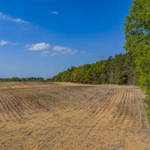 Photo #5 of 17643 Efird Road, Albemarle, NC 71.5 acres