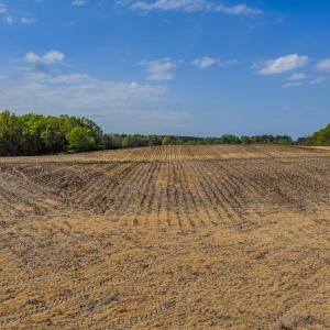 Photo #6 of 17643 Efird Road, Albemarle, NC 71.5 acres