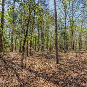 Photo #42 of 17643 Efird Road, Albemarle, NC 71.5 acres