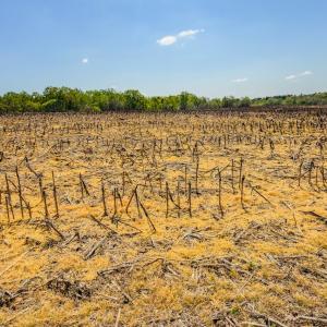 Photo #44 of 17643 Efird Road, Albemarle, NC 71.5 acres