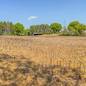 Photo #45 of 17643 Efird Road, Albemarle, NC 71.5 acres