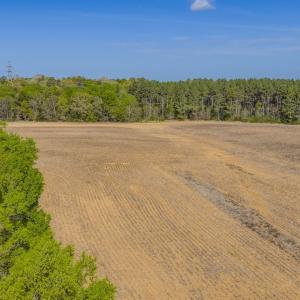 Photo #46 of 17643 Efird Road, Albemarle, NC 71.5 acres